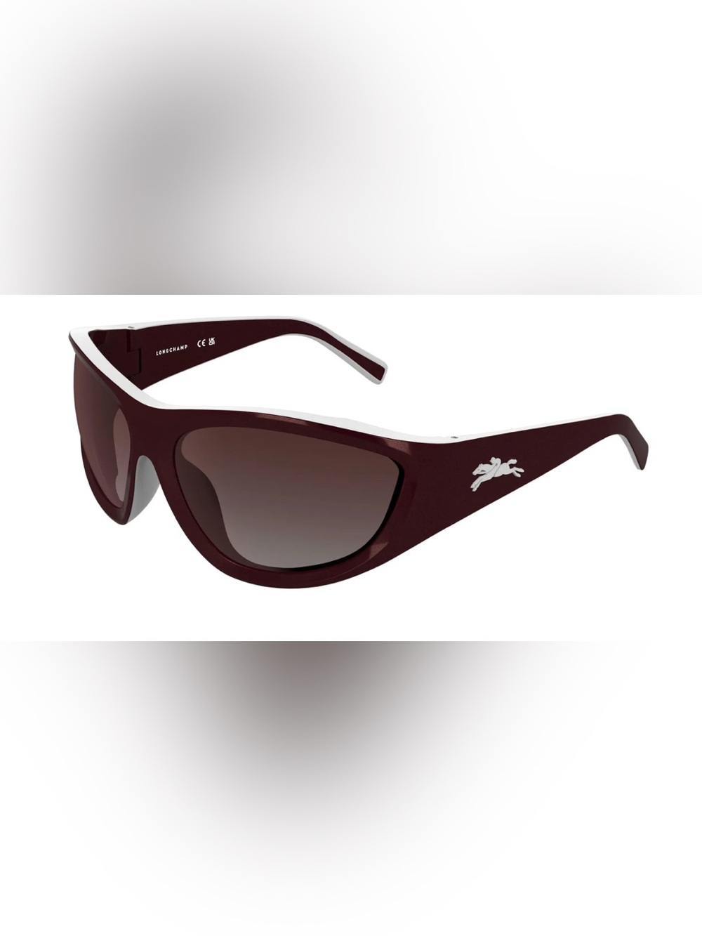 Long champ sunglasses